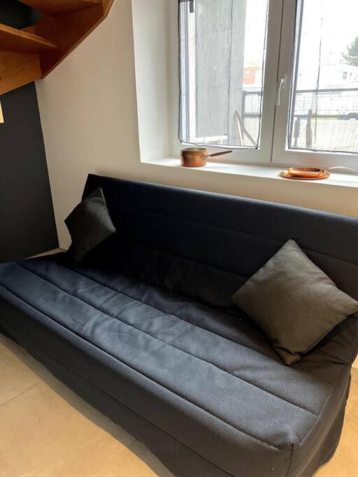 אינגרסהיים Appartement Duplex Avec Jardin מראה חיצוני תמונה