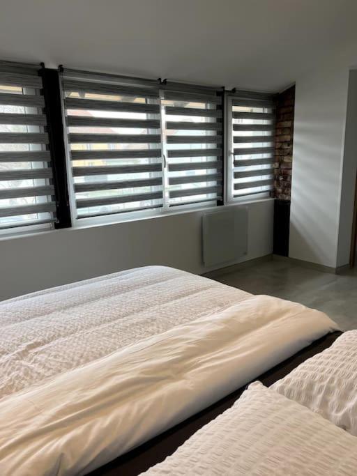 אינגרסהיים Appartement Duplex Avec Jardin מראה חיצוני תמונה